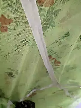 sids0 online show from 12.09.24