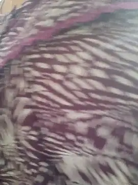 Snapshot of samitasharma chatting on 11.14.25 samitasharma online show from 11.14.25