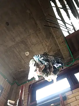 gigolopez1 online show from 02.15.26