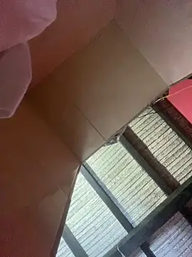 Snapshot of Dalton_oficial chatting on 02.13.26 Dalton oficial online show from 02.13.26