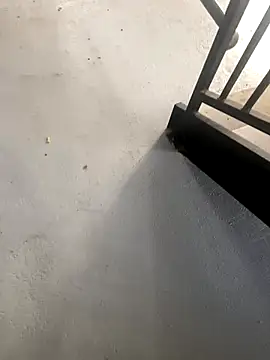 Snapshot of zeekBbc chatting on 10.27.25 zeekBbc online show from 10.27.25