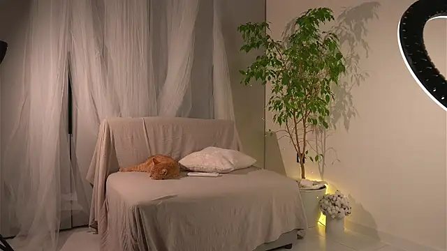 lorrie love story online show from 11.24.25