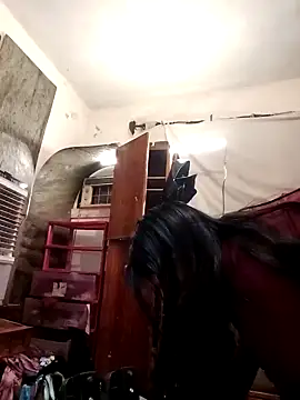 SINUECASTILLO online show from 12.12.24