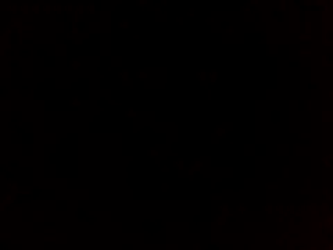 sammymoon online show from 12.20.24