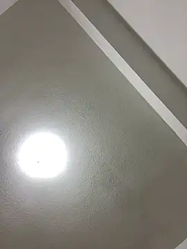 islandvybee55 online show from 01.03.25