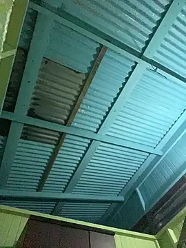 islandvybee55 online show from 01.11.26