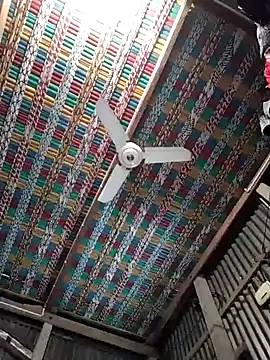 Snapshot of Koyel-Sen chatting on 01.22.25 Koyel-Sen online show from 01.22.25