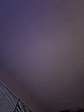 moni2g online show from 03.04.26