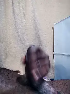 Snapshot of Dick_undisputed chatting on 12.28.24 Dick undisputed online show from 12.28.24