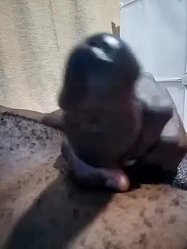 Snapshot of Dick_undisputed chatting on 12.30.24 Dick undisputed online show from 12.30.24