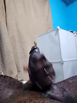 Snapshot of Dick_undisputed chatting on 01.07.25 Dick undisputed online show from 01.07.25