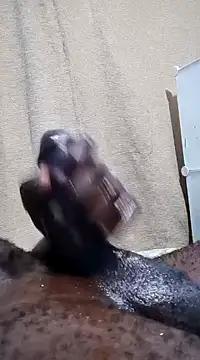 Snapshot of Dick_undisputed chatting on 01.13.25 Dick undisputed online show from 01.13.25