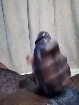 Snapshot of Dick_undisputed chatting on 01.17.25 Dick undisputed online show from 01.17.25