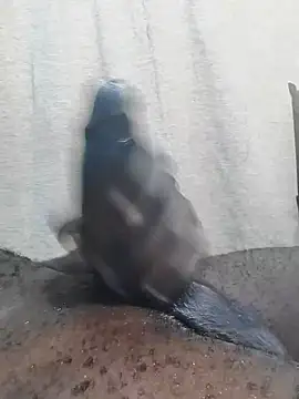 Snapshot of Dick_undisputed chatting on 02.23.25 Dick undisputed online show from 02.23.25