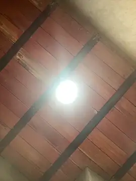 MollySanders    online show from 12.13.25