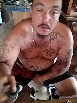 wilsons12 online show from 10.09.25