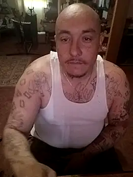 wilsons12 online show from 02.05.26