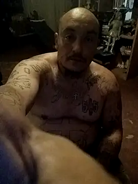 wilsons12 online show from 04.12.26