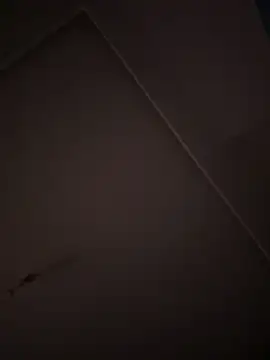 eddy355 online show from 10.26.25