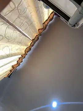 pawmistry online show from 10.02.25