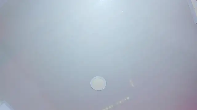 Daisy  rose online show from 03.20.26