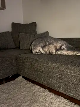 Snapshot of godspot_ chatting on 10.30.25 godspot  online show from 10.30.25