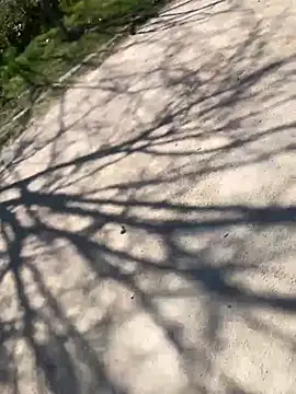 Lucascacaca online show from 03.24.26