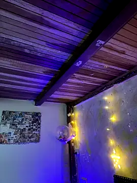 Snapshot of SophiaWeestt99 chatting on 11.29.25 SophiaWeestt99 online show from 11.29.25