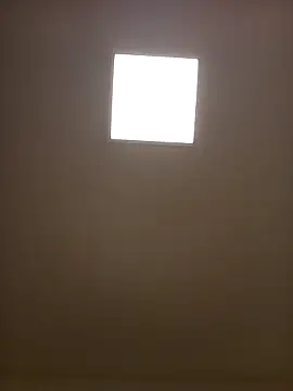 Snapshot of Porzz-6 chatting on 11.18.25 Porzz-6 online show from 11.18.25