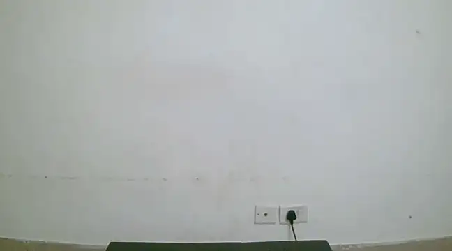 collage hoty online show from 01.19.25