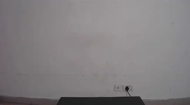 collage hoty online show from 02.22.25