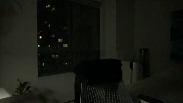 Gingerbushguy online show from 12.29.24