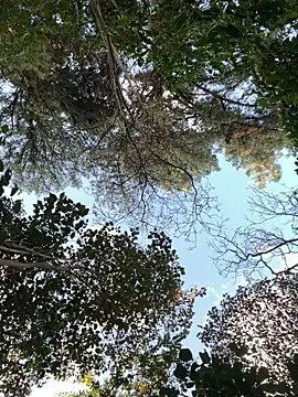 Snapshot of _PhillipBrown chatting on 09.10.25 PhillipBrown online show from 09.10.25