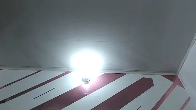 Kitten Hot  online show from 12.18.25