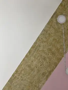 Snapshot of PandoraRider chatting on 10.25.25 PandoraRider online show from 10.25.25