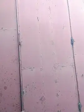 Polygamist online show from 12.16.25