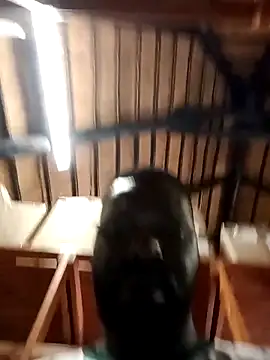 Snapshot of Touch_mysoul chatting on 10.26.25 Touch mysoul online show from 10.26.25