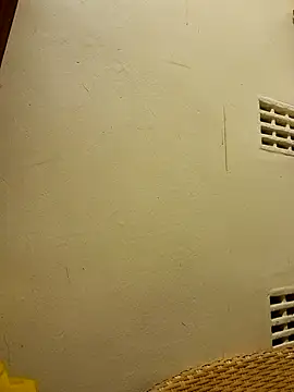 Snapshot of Touch_mysoul chatting on 11.04.25 Touch mysoul online show from 11.04.25