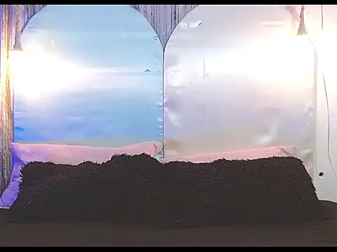 tylor boy online show from 01.07.26