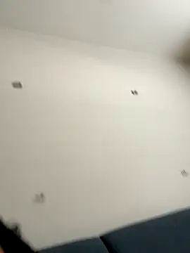 calibabi online show from 11.19.25