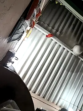 arppyyyxx online show from 10.22.25