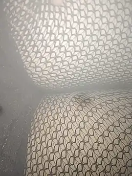 Snapshot of rohitlov150 chatting on 03.02.25 rohitlov150 online show from 03.02.25