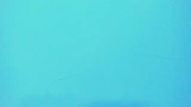  hairybeard  online show from 01.28.25