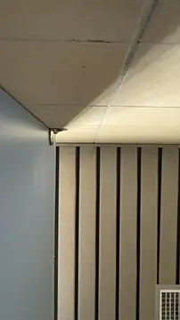 frnk30151 online show from 09.21.25