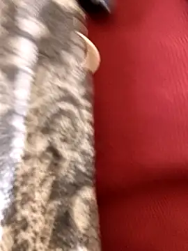 Ananya 34 online show from 12.03.25