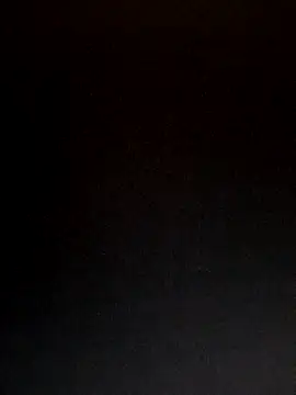 Snapshot of lisa_larry88 chatting on 11.13.25 lisa larry88 online show from 11.13.25