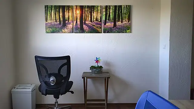 Snapshot of Harry_Boldt chatting on 11.10.25 Harry Boldt online show from 11.10.25