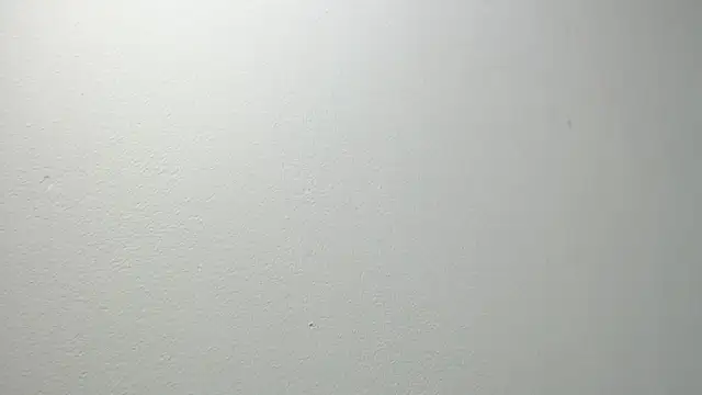 sussy leon online show from 02.20.25