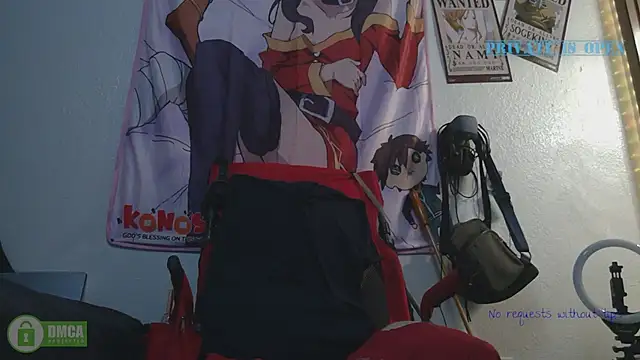 Snapshot of SlammyDjr chatting on 03.15.25 SlammyDjr online show from 03.15.25