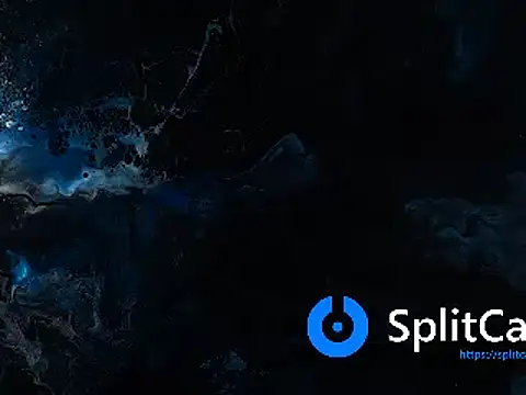 May Dylan1 online show from 10.12.25